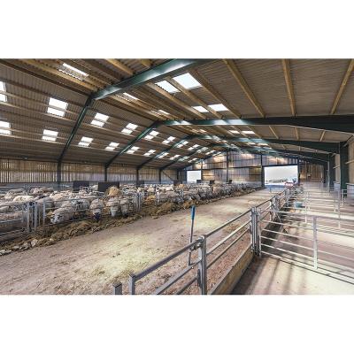 China Steel Structure Sheep Shed Customized Design Buildings Cheap Prefab Steel Structure Sheep Shed for sale