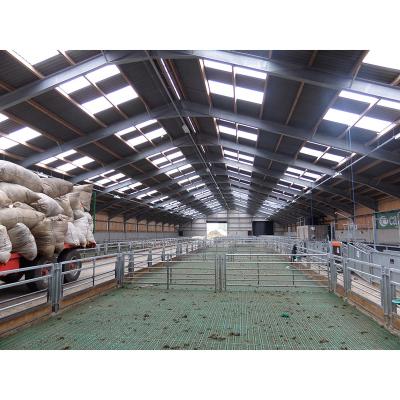 China steel structure sheep shed cheap prefab 3d construction customized steel structure sheep shed manufacturers for sale