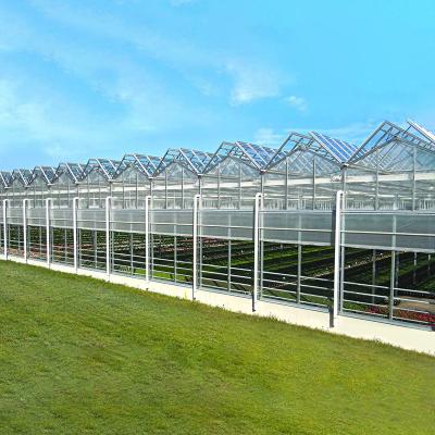 China Cheap Customized Two Tier Steel Structure Greenhouse / Industrial Prefab Three Tier Design Buildings Steel Structure Greenhouse Suppliers for sale