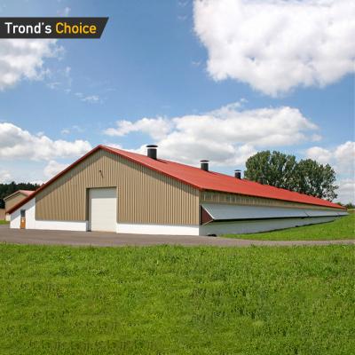 China Steel Chicken Shed 2022 New Design Customized Steel Structure Prefab Chicken House Shed For Sale for sale