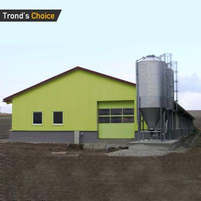 China Steel Chicken Shed High Quality Cheap Prefab DWG Designs Chicken Steel Structure Cage Houses Shed On Sale for sale