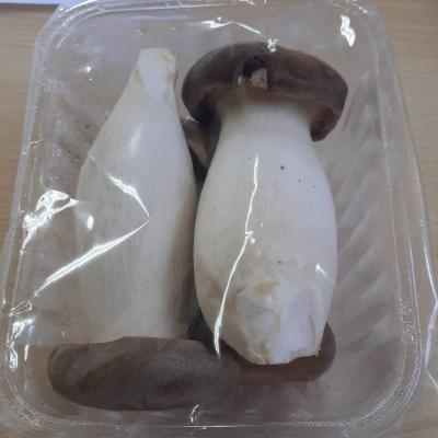 China Fresh fresh king trumpet mushroom for sale