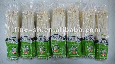 China Fresh enoki mushrooms for sale