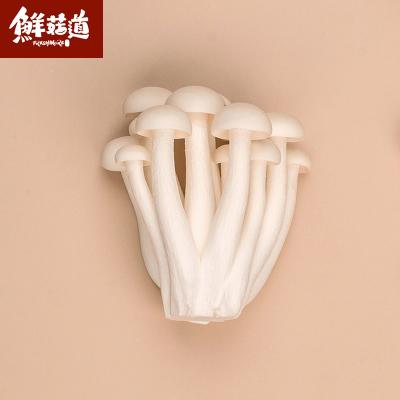 China Fresh fresh white beech mushroom for sale