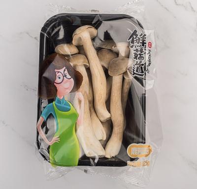 China Mushroom Fresh Shimeji White Beech Mushroom Fresh Mushroom for sale