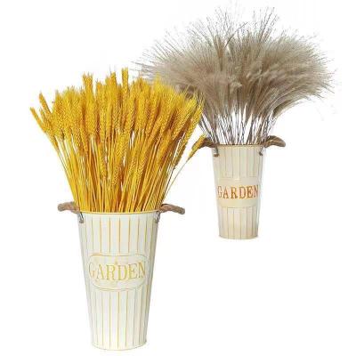 China Hot Selling Golden Yellow Wheat Straw Dried Wheat Decorative Natural Wheat Ears Bouquet From Eco-friendly Manufacturers for sale