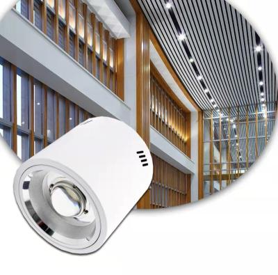 China Industrial 40w 50w 60w 70w Led Spotlight Round Ip65 Cylinder Surface Mounted Aluminum Indoor Outdoor Ceiling Downlight for sale