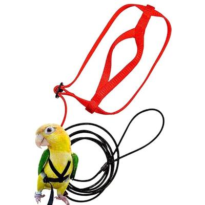 China Outdoor Harness Nylon Leash Bird Lights Parrot Flying Traction Straps Gather Adjustable Anti-bite Training Rope for sale