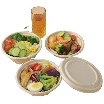 China 500ml-2000ml Disposable Compostable Bento Bowl Food Container Paper Eco-Friendly Bagasse Biodegradable Sugar Cane Biodegradable Bowl for sale