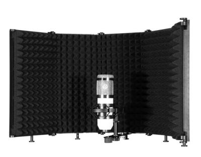 China 2021 New 5 Door Sound Isolation Shield Windshield Large Portable Plastic Long Distance Microphone for sale