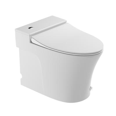 China Automatic Operation Ceramic Cheap Pulse Tankless Toilet For Hotel Vila Apartment Home Indoor Tub for sale