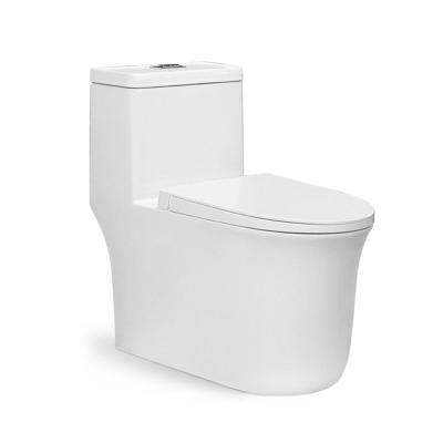 China Special Hot Selling Double-Flow Down Ceramic One-Piece Ware Bathroom Wc Toilet Wash For Europe Market for sale