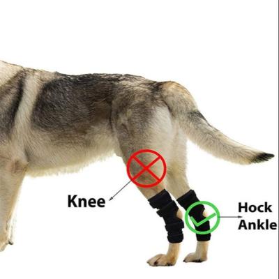 China Comfortable Breathe Free Amazon Pet Protector Wound Protector Hot Selling Dog Leg Knee Brace Avoid Licking Injured Leg for sale