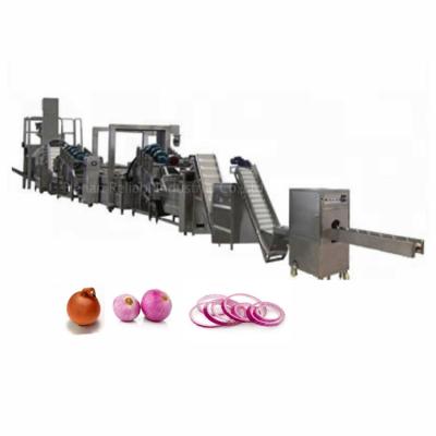 China Onion Rings Processing Commercial Onion Dehydration Drying Plant / Onion Factory for sale