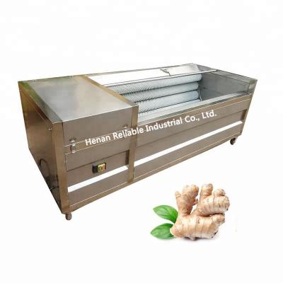 China High Performance Industrial Fresh Ginger Processing Industry Fresh Ginger Washing Machine With Best Factory Price for sale