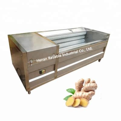 China High Efficiency Easy Operate Ginger Washing And Peeling Machine / Ginger Washing / Peeling Machine Price for sale