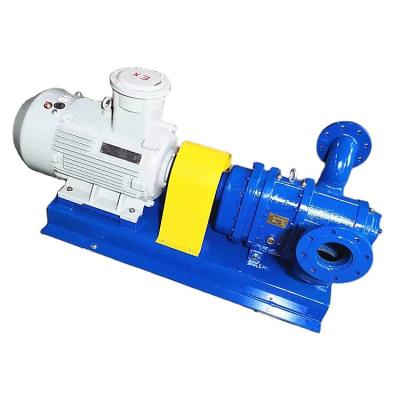 China 2022 Wholesale High Quality Big Flow Rubber Cam Sludge Circulating Oil Rotor Chemical Pump for sale