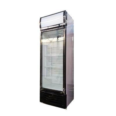 China Hot Selling Single-temperature Promotional Upright Glass Beverage Refrigerator Single Door Refrigerator for sale