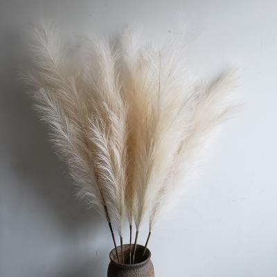 China Artificial Pampas Grass Wedding Natural Touch Hotel Store Decorative Large Tubular Branch Fake Home Wholesale for sale