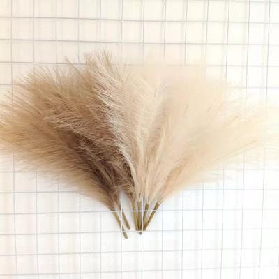 China 6 Stems 45cm Artificial Pampas Grass Bouquet Fake Pampas Grass Natural Touch Silk Flower Set for sale