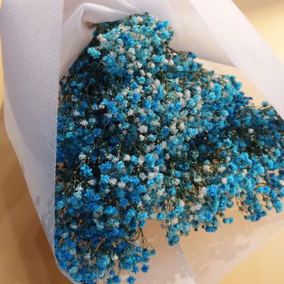 China Gift Preserved Flowers Star Dry Flower Bouquets Bridal Jewelry DIY Materials Direct Selling for sale