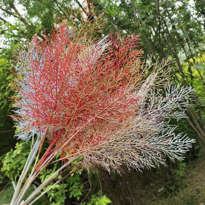 China Big Size Natural Touch Long Stem Coral Artificial Flowers To Wedding Grass Artificial Flower for sale