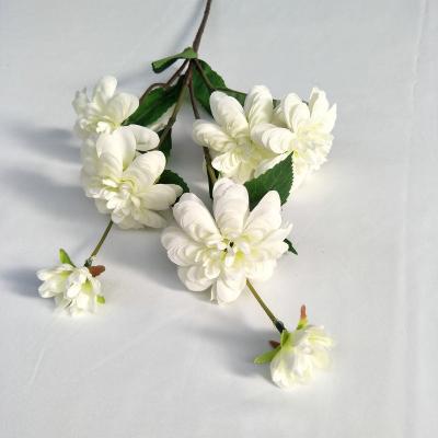 China decorative flowers & Braid small pressed 7 heads Daisy Chrysanthemum Flowers artificial white for sale