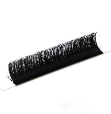 China Eyelash Extension New Product Eyelash Extension Individual Soft and Glossy Different Classic Lashes for sale