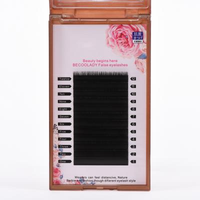 China Eyelash Extension Wholesale 12 Rows 0.05 0.07 0.10 Hot Sellers Private Labels Bundle False Eyelash Extensions for sale