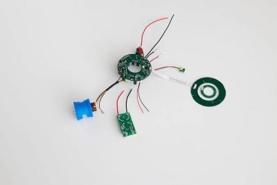 China Durable Brushless Drive Motor Controller 36V 70g Weight Customized for sale