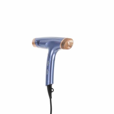 China Customized Travel Brushless Motor Hair Dryer Foldable Lightweight for sale