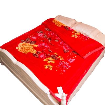 China 2Ply Polyester Anti-Static Plush Korean Mink Blanket Soft Warm Traditional Blanket for sale