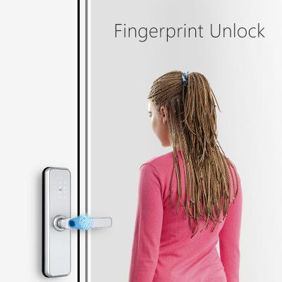 China wifi tuya lock door anti theft high security smart screen locks built-in ttlock smart biometric intelligent electronic fingerprint for sale