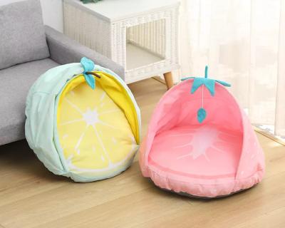 China 2022 New Pet Cat Bed Fruit Shape Foldable Cat Bed Mat 4-Seaons Viable Wholesale Dog Mat Lovely for sale