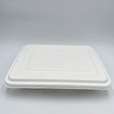 China Disposable Degradable Disposable Degradable Trays for sale