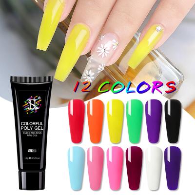 China Personal use for DIY and nail art for salon solid color gel private label HS 12 poly OEM nail extension gel poly for sale