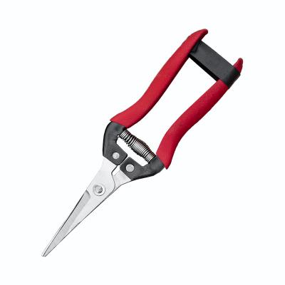 China Anti-skid Handle Pruner Tree Cutter Shears Manganese Steel Scissors Home Gardening Clipping China Manufacturer Anti-skid Factory for sale