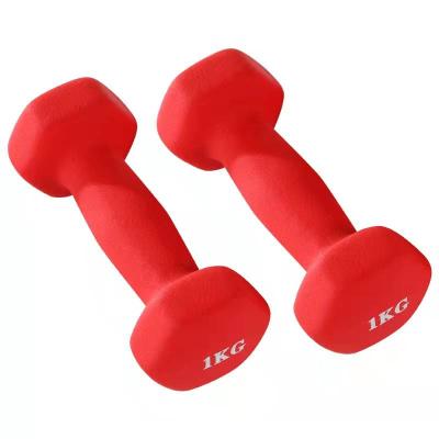 China High Quality Exercise Rubber Covered Dumbbell Free Weight Gym Hex Rubber Coated Hex Dumbbell for sale