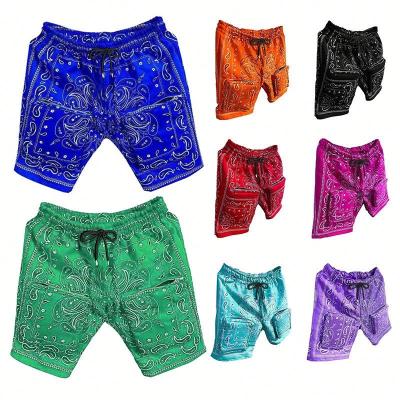 China Hot Selling Anti-wrinkle M-3XL Men's Copy Shorts New Design Fashionable Beach Slim Fit Shorts For Men With Zipper Pockets for sale