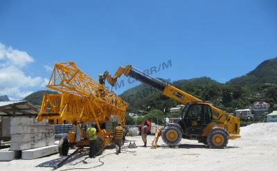 China QTK25 Self Erecting Crane Mini  Supplier Low Maintenance Cost en venta