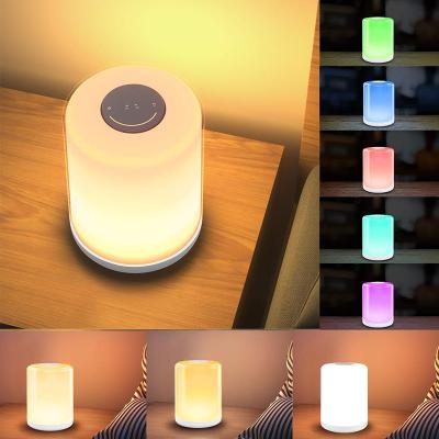 China Touch Switch Dimmer Touch Control Adjustable Color Variable Night Lamp for sale