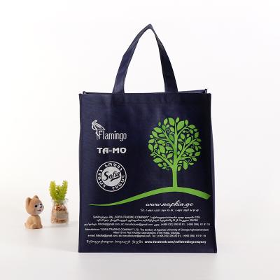 China Eco Recyclable Customized Fabric Laminated Affordable Non Woven Shopping Bag Non Woven Bag With Logo for sale