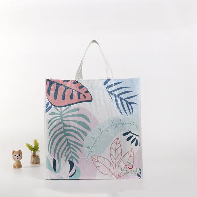 China Buying Wholesale Recyclable Shopping Carry PP Woven Shopping Bags Japan Inspection Quality Standard for sale