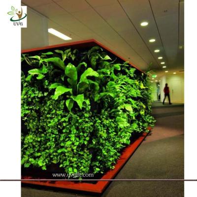 China UVG GRW09 Wholesale green artificial plants for Plastic Green Wall garden landscaping for sale