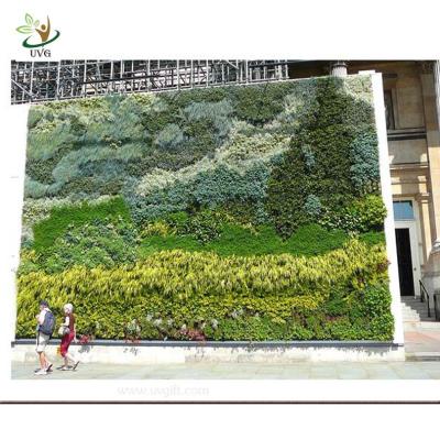 China UVG GRW017 Wholesale Grasses Plants Artificial Flower for Wall Decoration indoor and outdo for sale