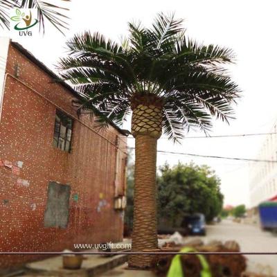 China UVG High simulation outdoor artificial date palm trees with fiberglass trunk for decor for sale