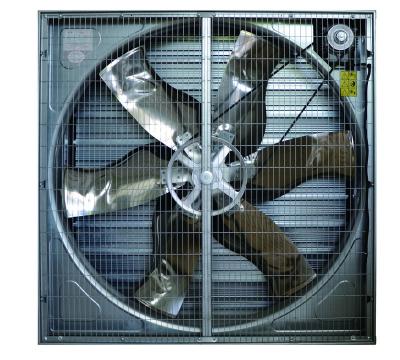 China Quality Latest china new model farm 36 inch fan galvanized sheet ventilation fan for sale