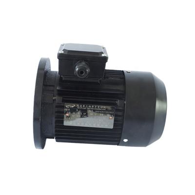 China Cheap High Torque Electric Motor 3Hp Hydraulic Price Totally Enclosed for sale