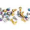 China Colorful M2 M4 M5 M6 M8 M10 M12 Pan Head Titanium Screw zu verkaufen