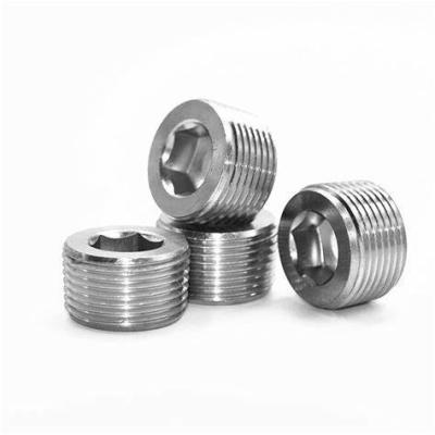 Chine Stainless Steel Plug 1/8